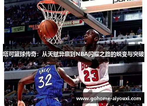 塔可篮球传奇：从天赋异禀到NBA闪耀之路的蜕变与突破